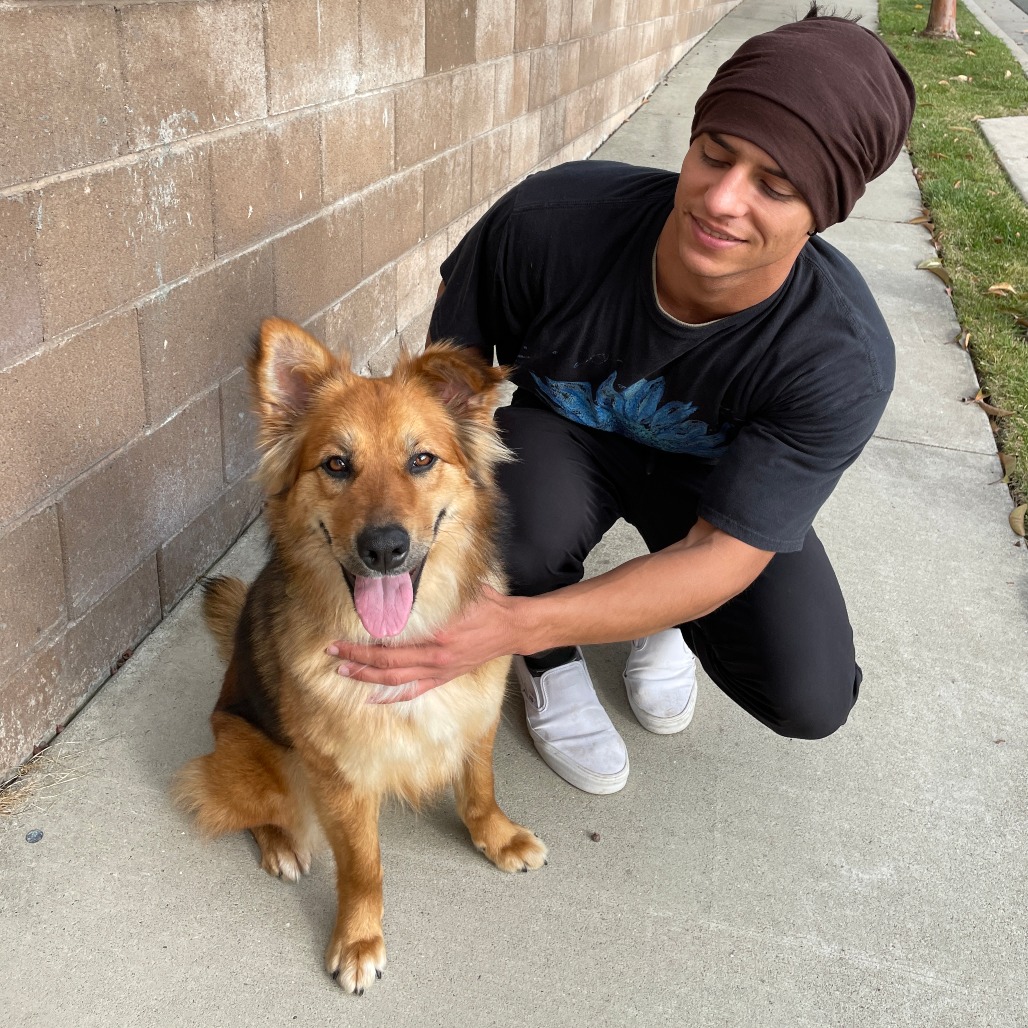 SPERANZA is available for adoption at Milo Foundation
