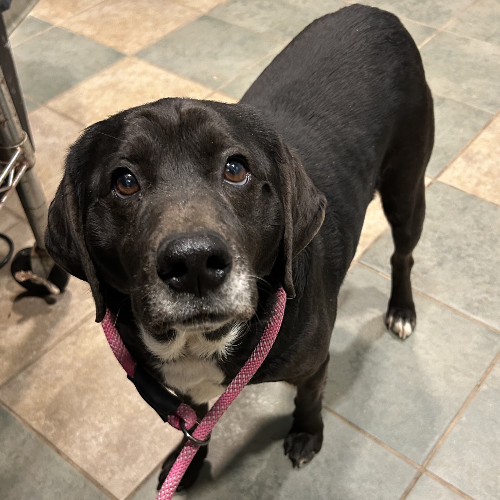 Willoughby — thumbnail 8