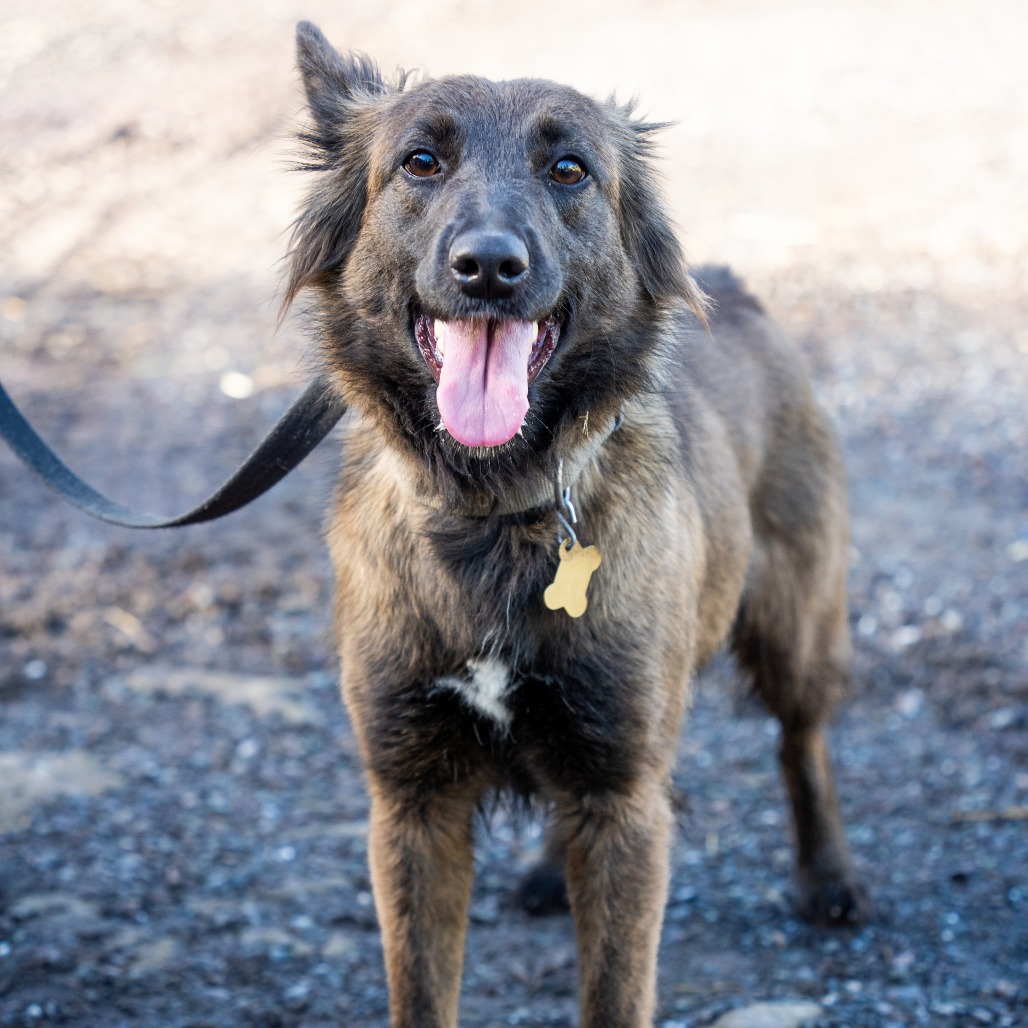 OLIVE, photo 5