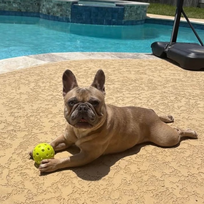 Photo of Luna