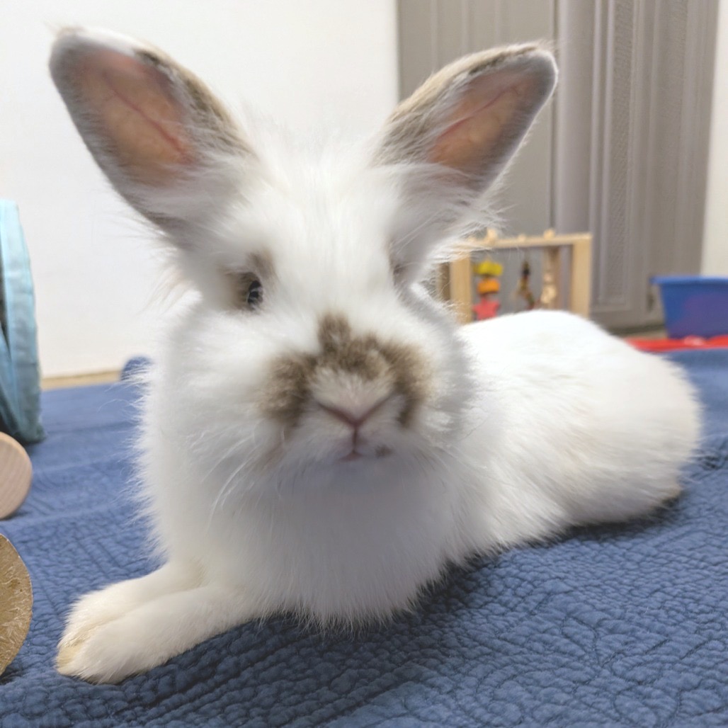 500c95e29aef06991d36341a6b00dc3a