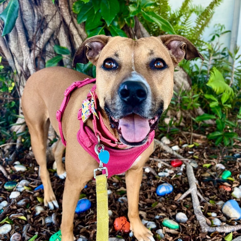 Another portrait of Babycakes