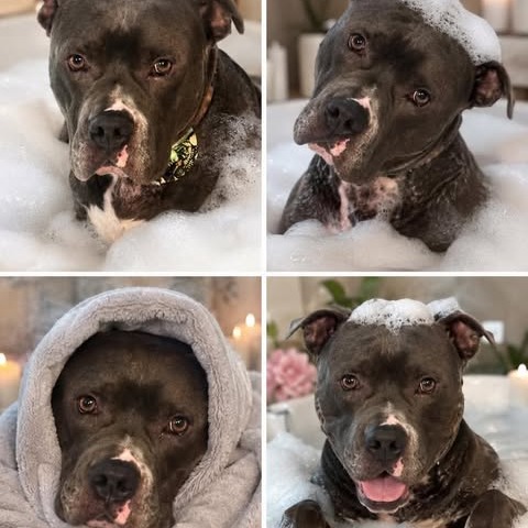 Photo of Deion