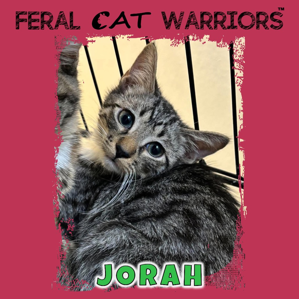Jorah