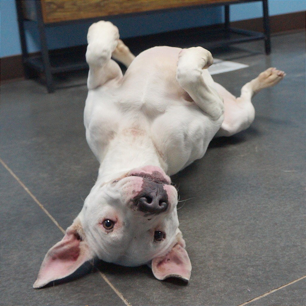 Zora — thumbnail 8