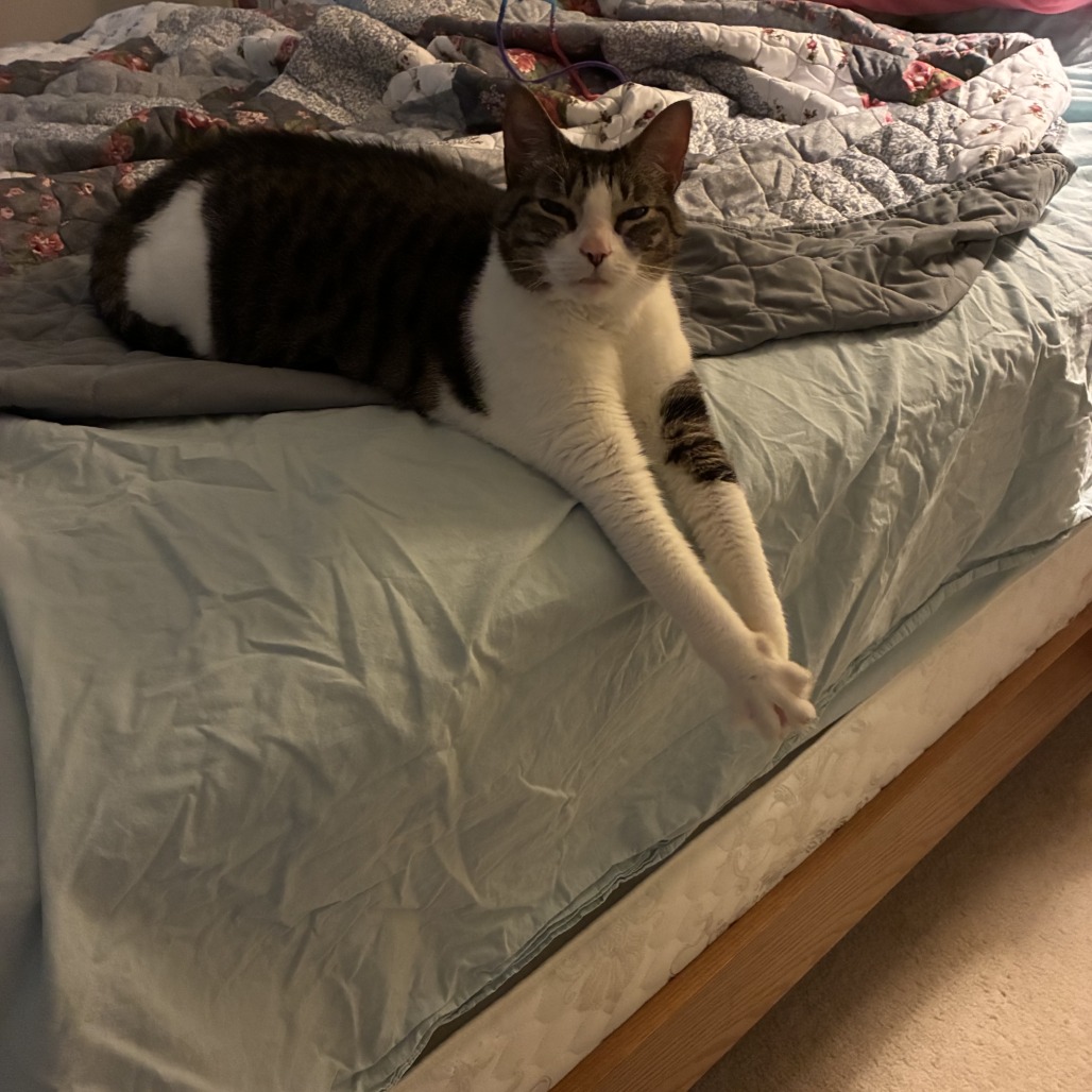 Tuna, photo 6