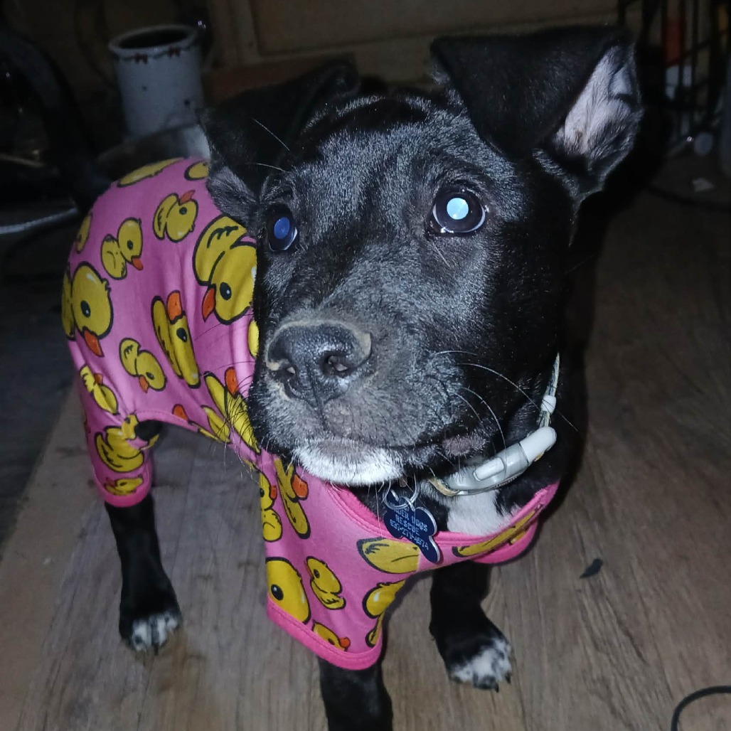 Coco