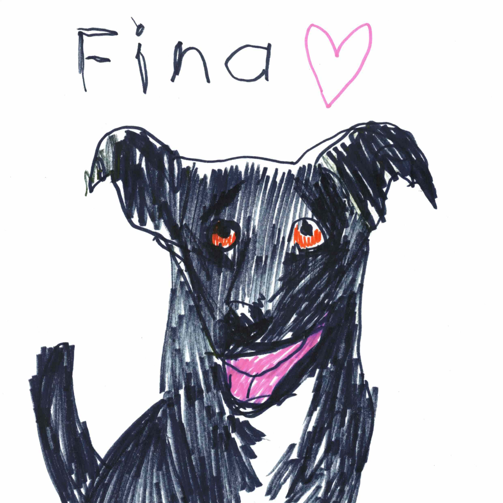 FINA, photo 9