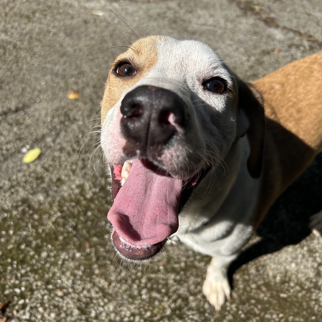 April — thumbnail 5