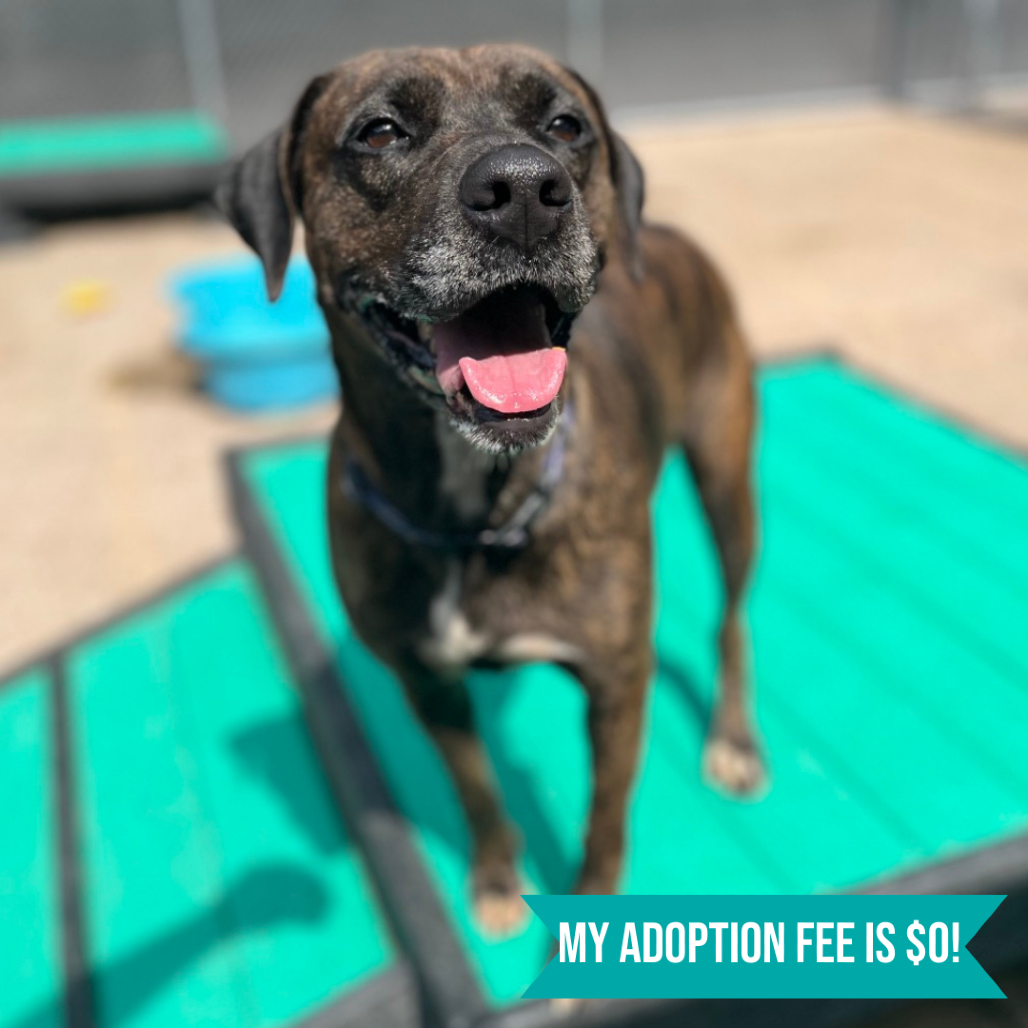 Lisa Frank — thumbnail 5