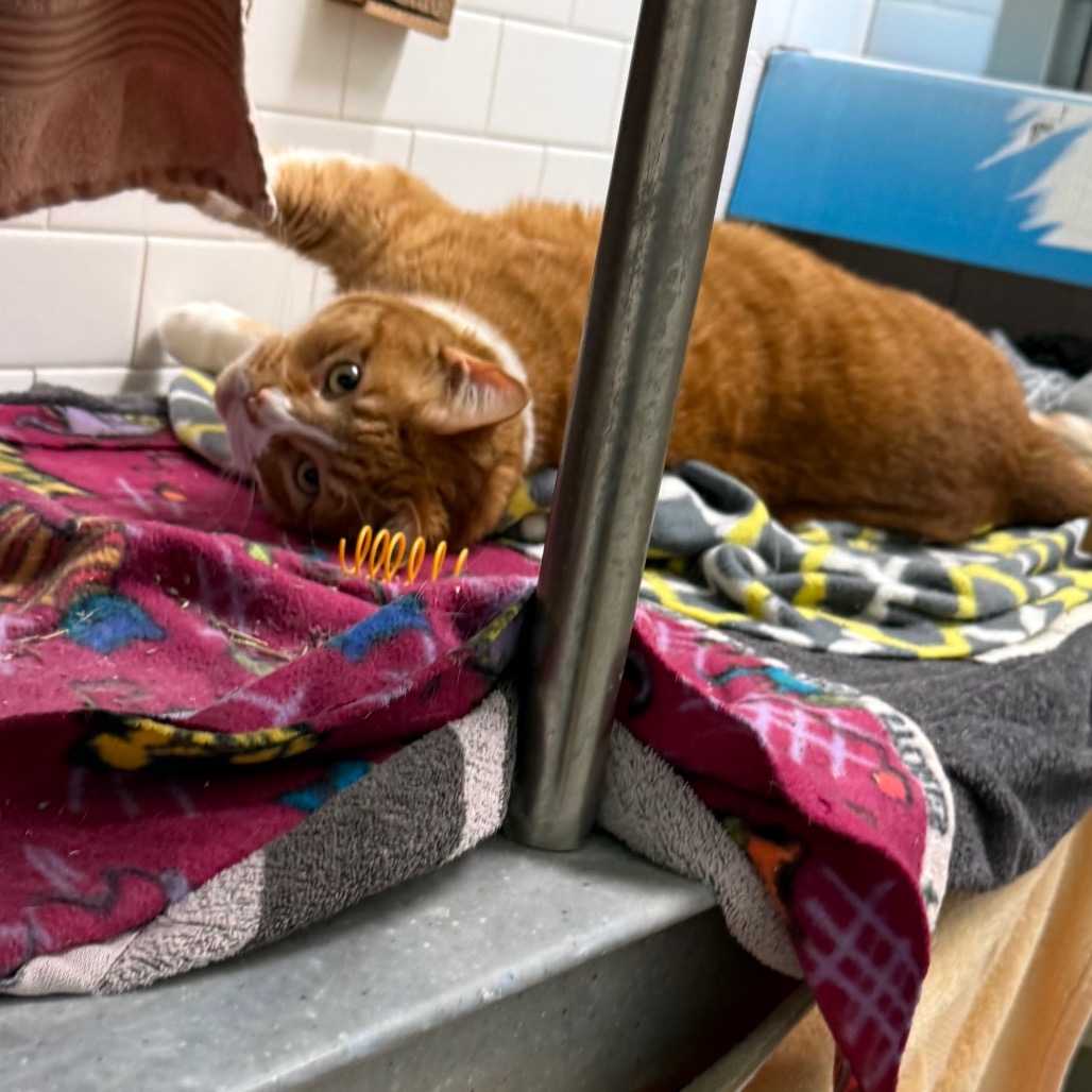 Photo of Freddy and QZ 9