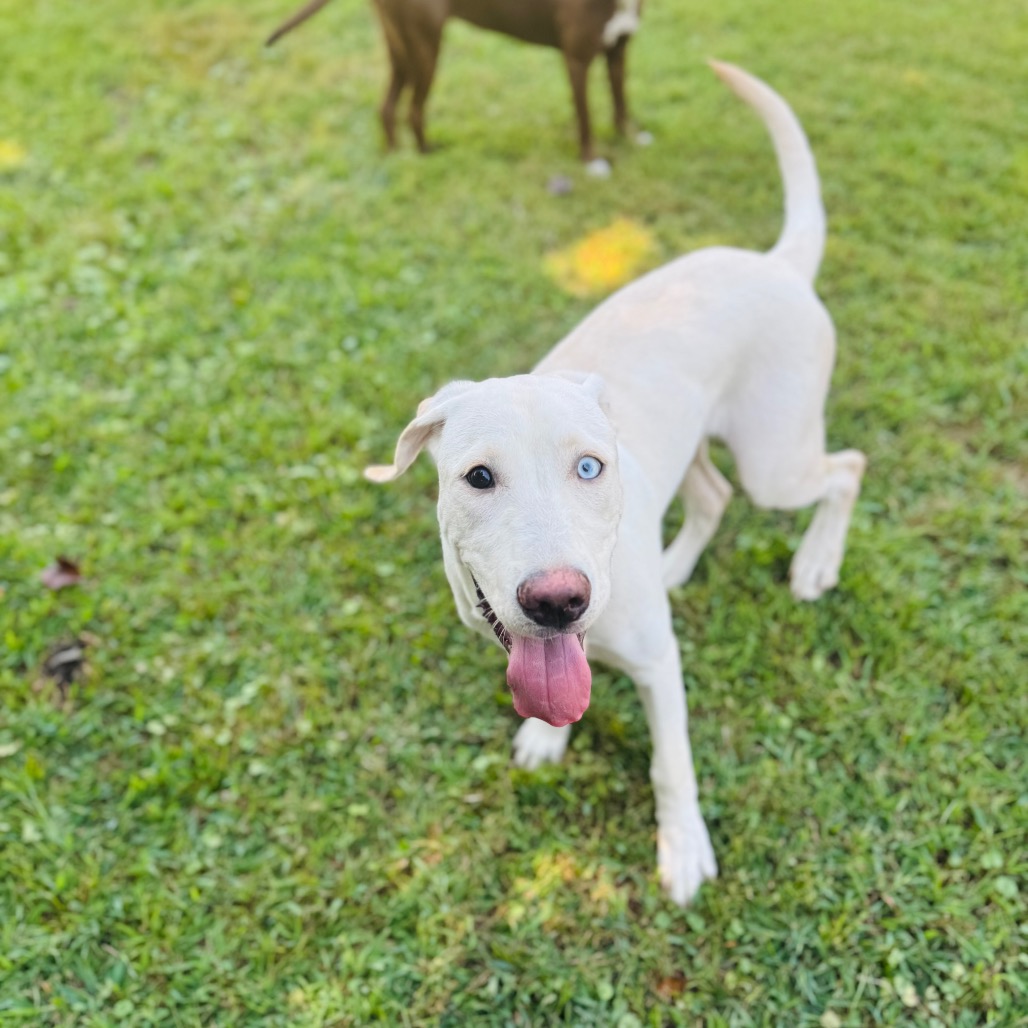 Freya — thumbnail 4