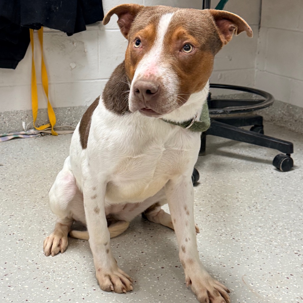 Couscous — thumbnail 5