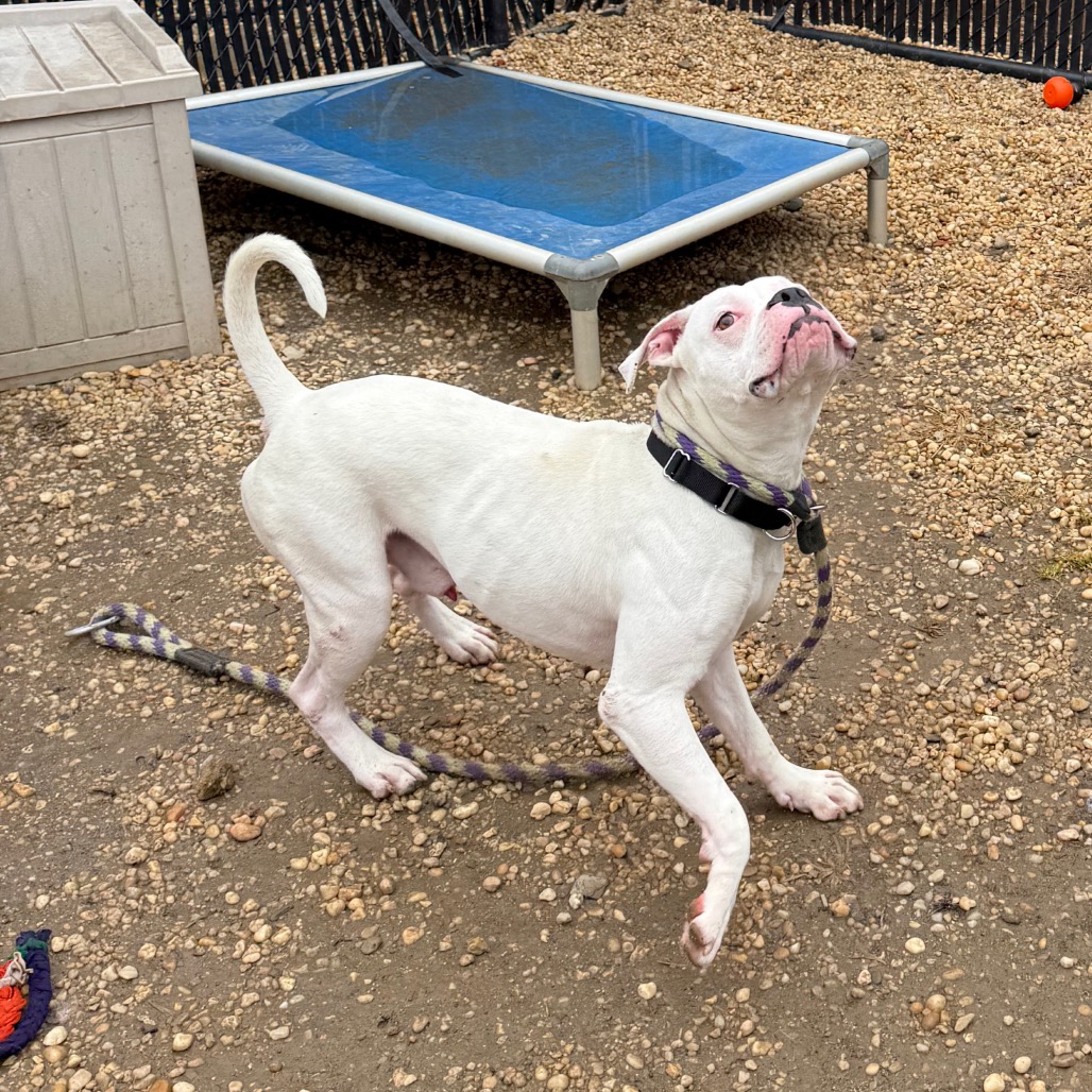 Snowcone — thumbnail 5