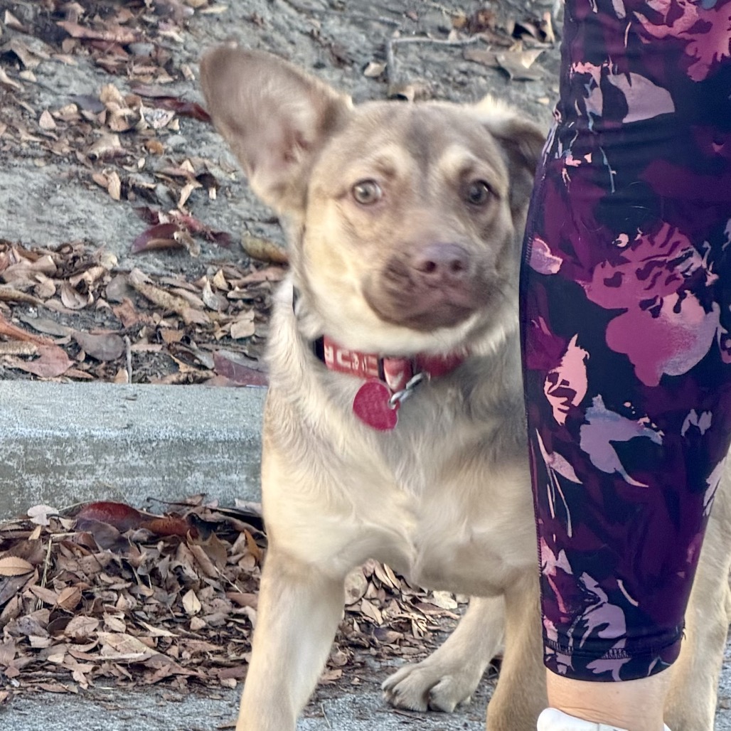 MAGGIE, photo 4