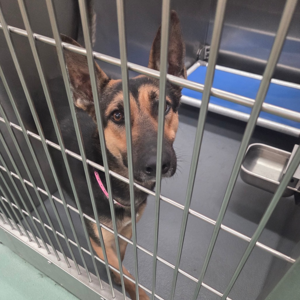 SUNSTORM — thumbnail 10