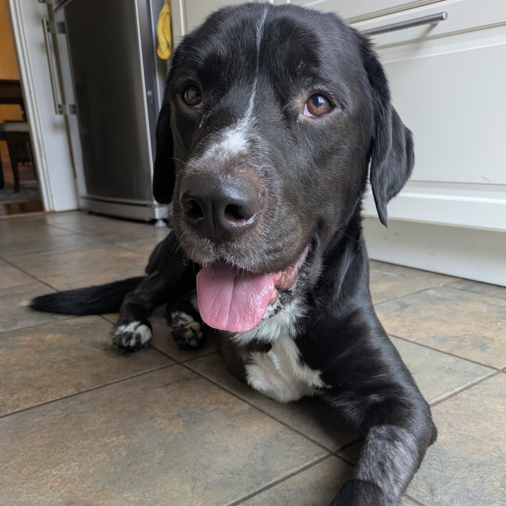 Photo of T.L. Frank 18