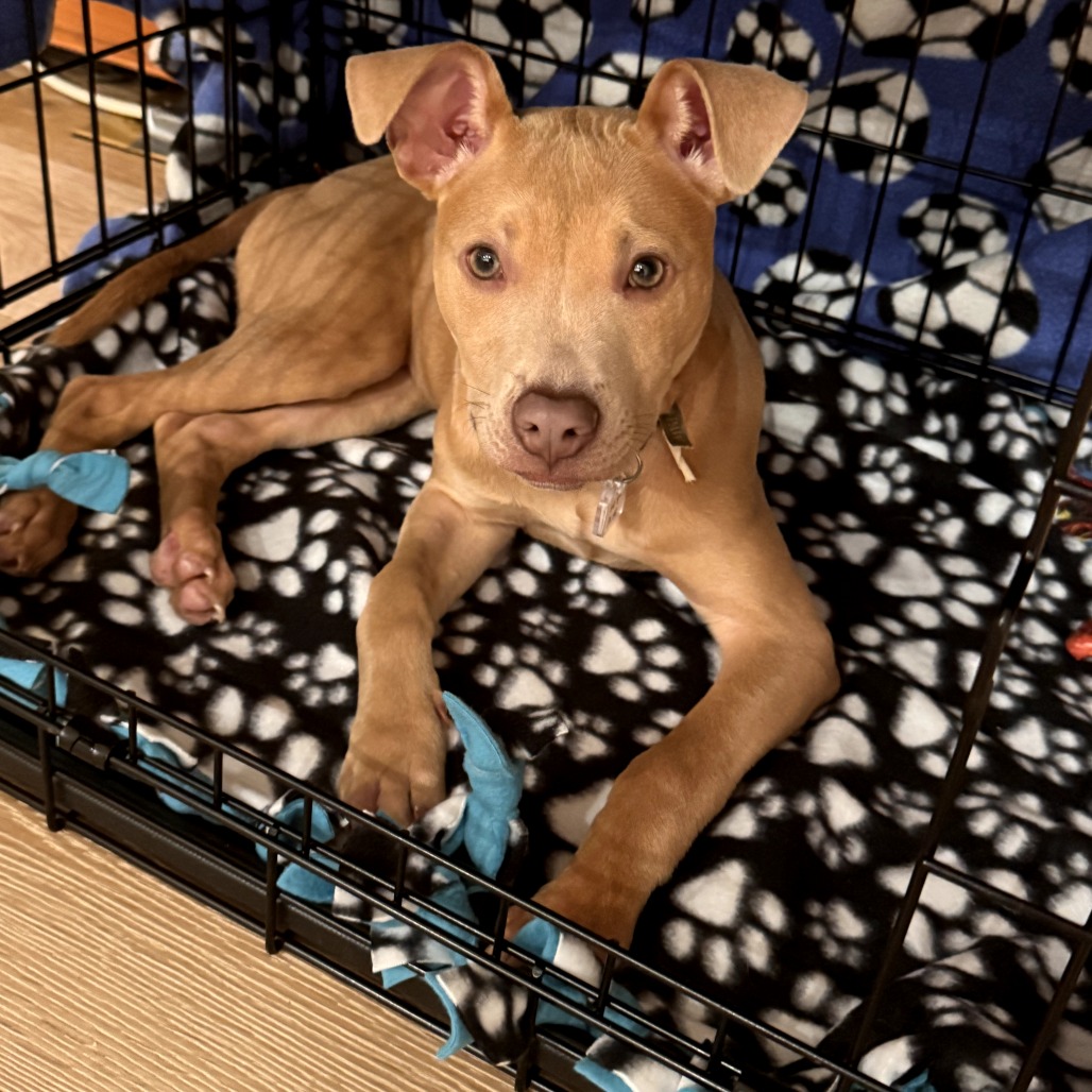 Cole — thumbnail 2