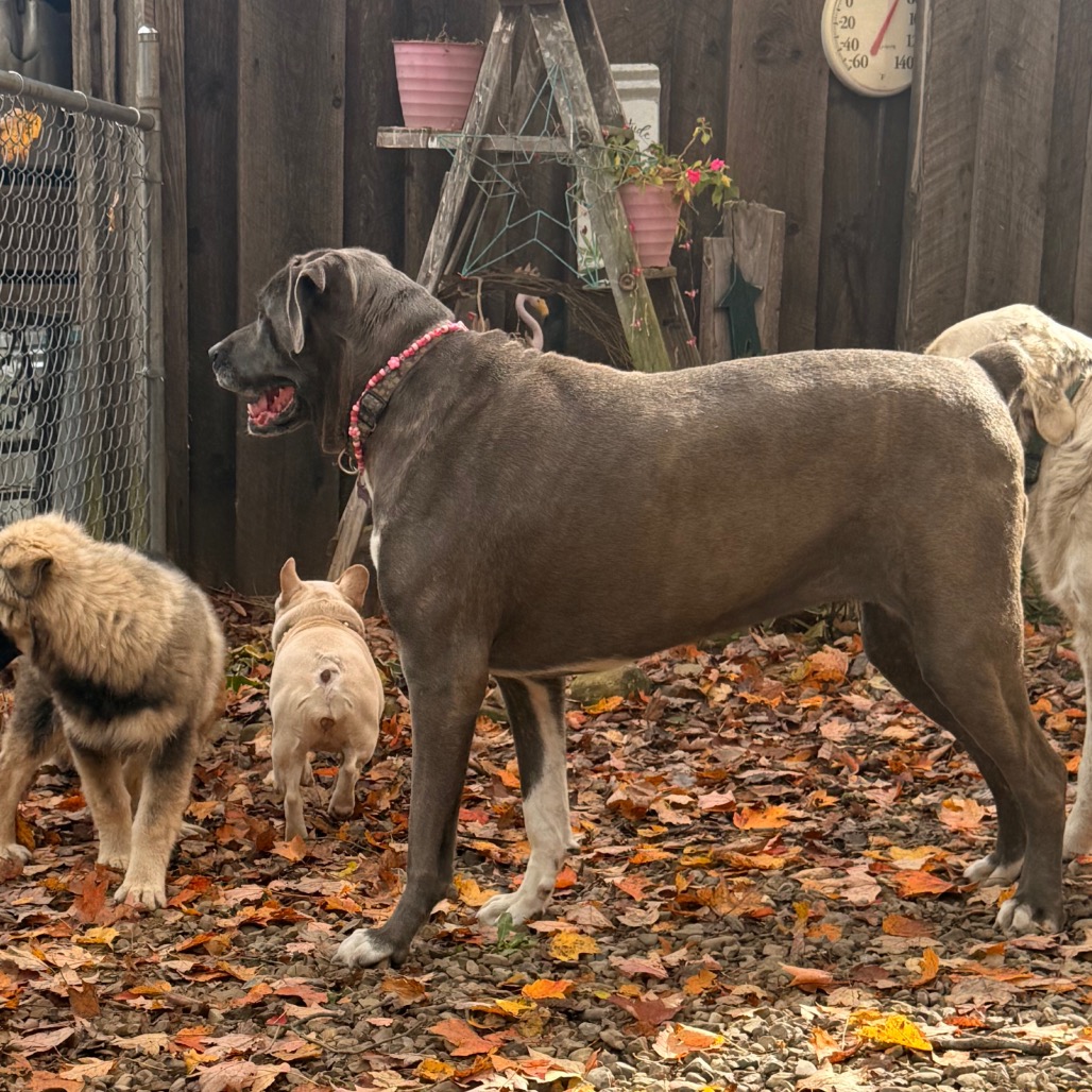 Big Luna, photo 20