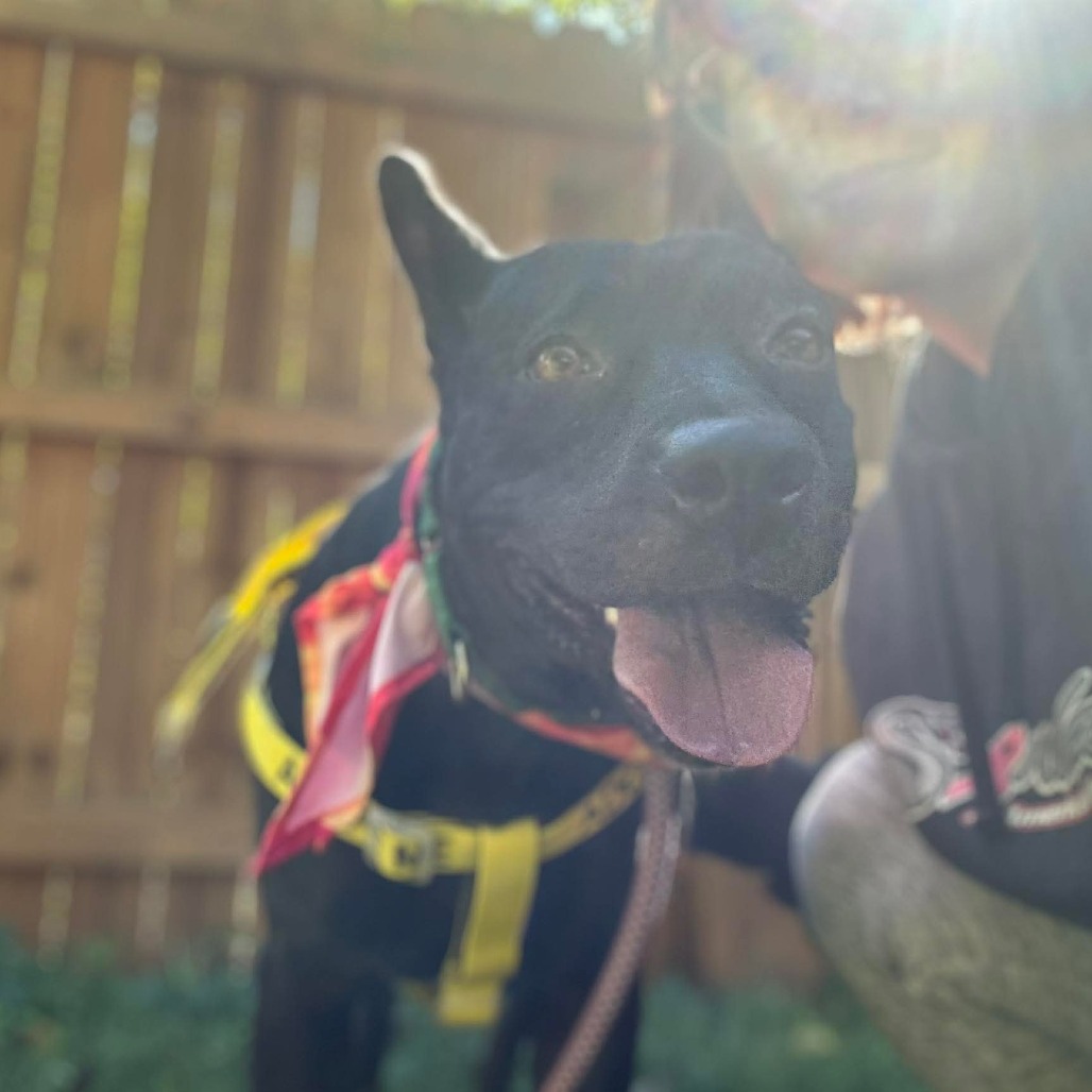 Mae, photo 14