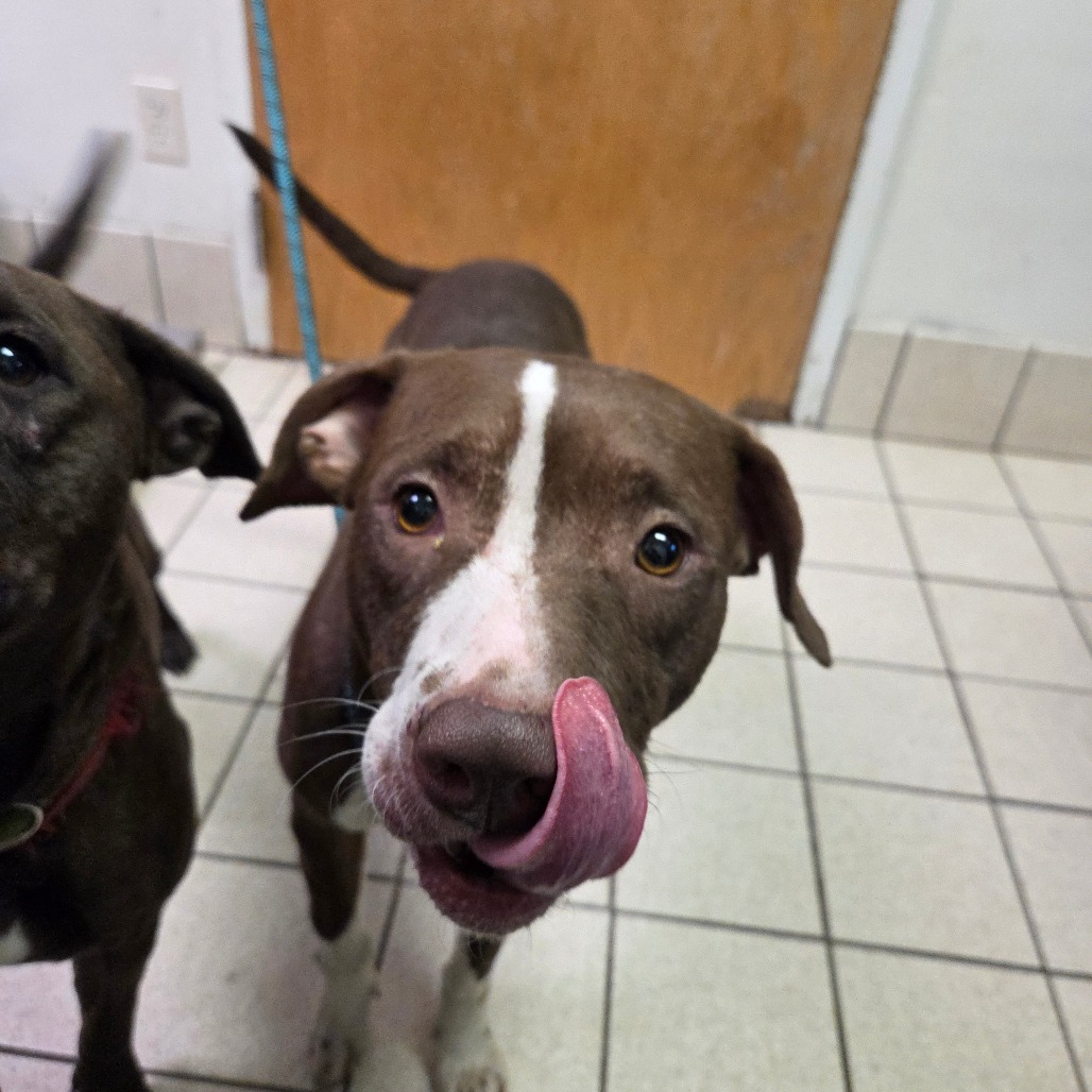 Kiara — thumbnail 2