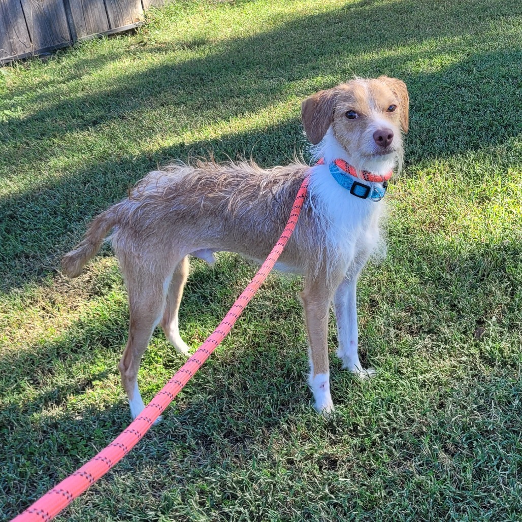 Mr. Bubbles — thumbnail 3