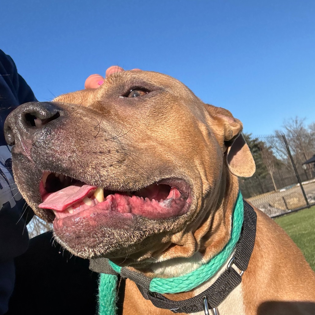 Nickel — thumbnail 3