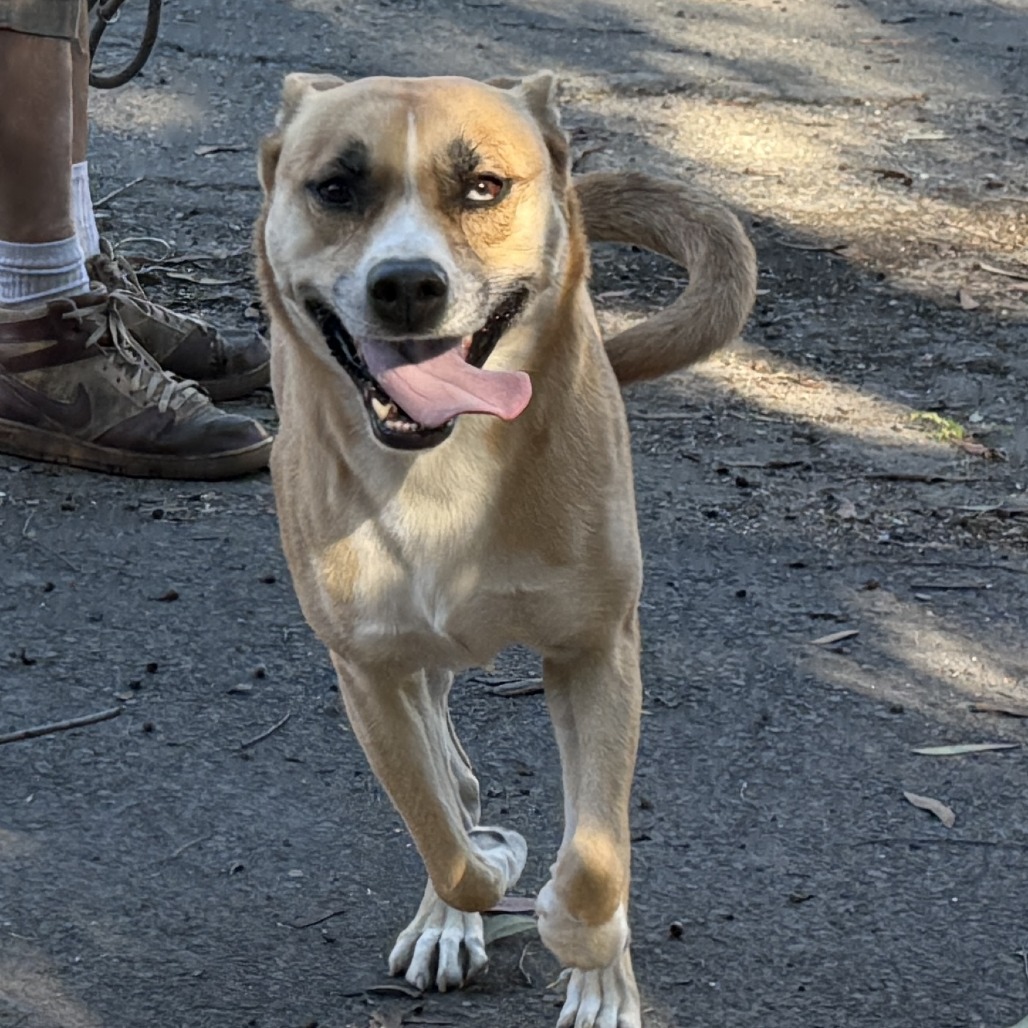 Latto — thumbnail 4