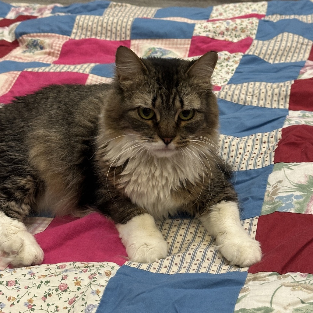 Maya, photo 5 of 7