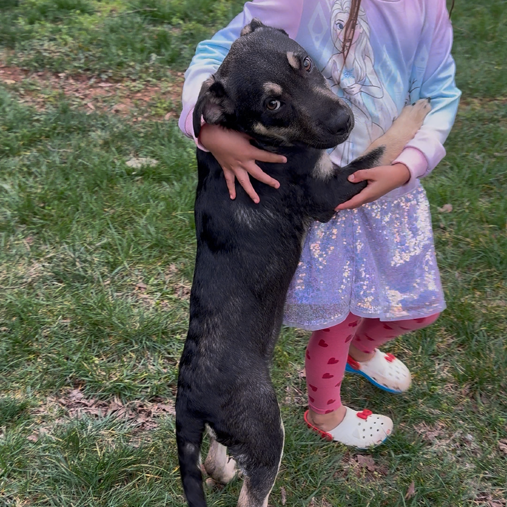 Atlas — thumbnail 5