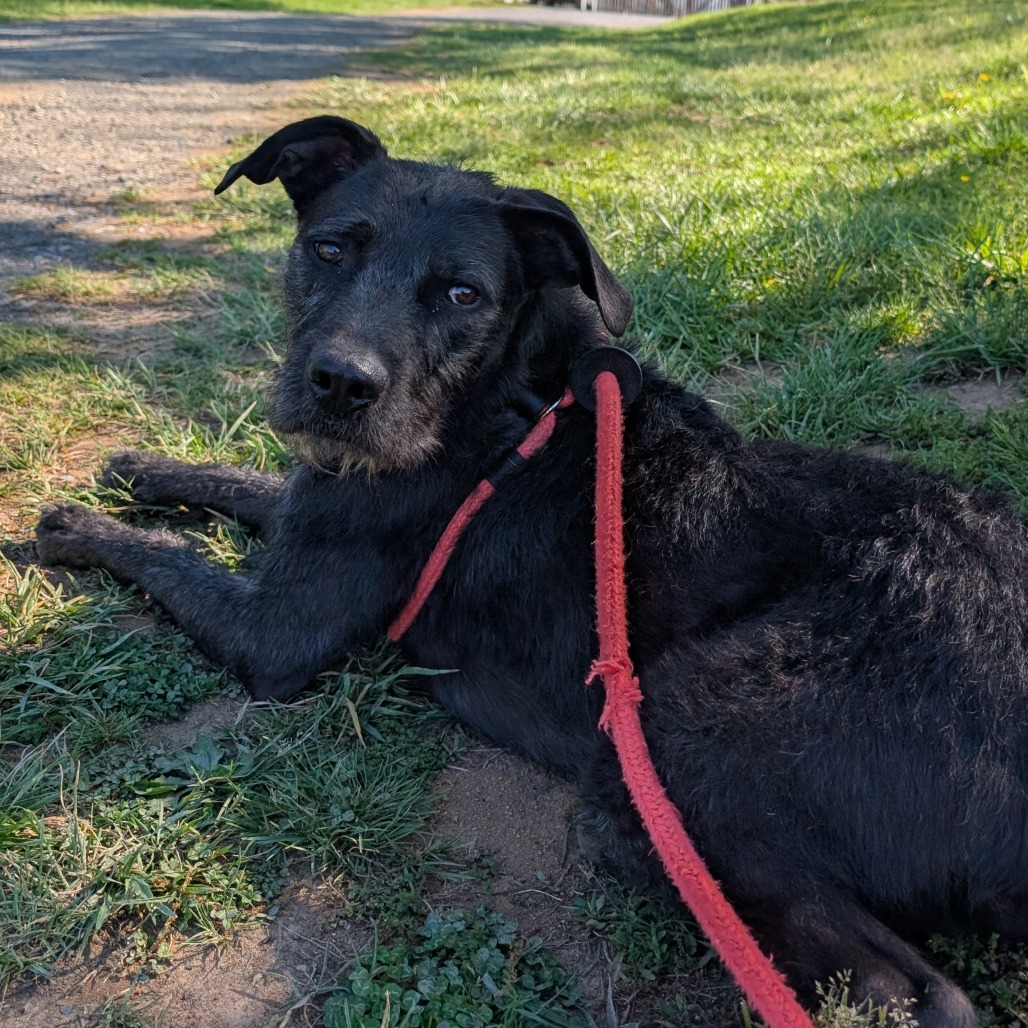 Shadow, photo 10