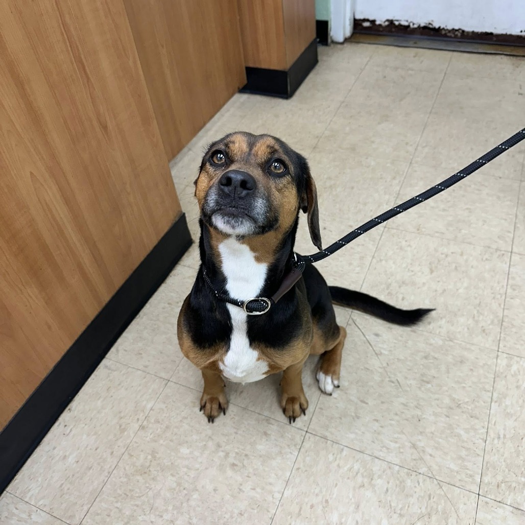 Macey — thumbnail 2