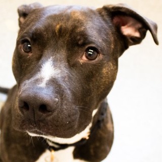 Humberto — thumbnail 4