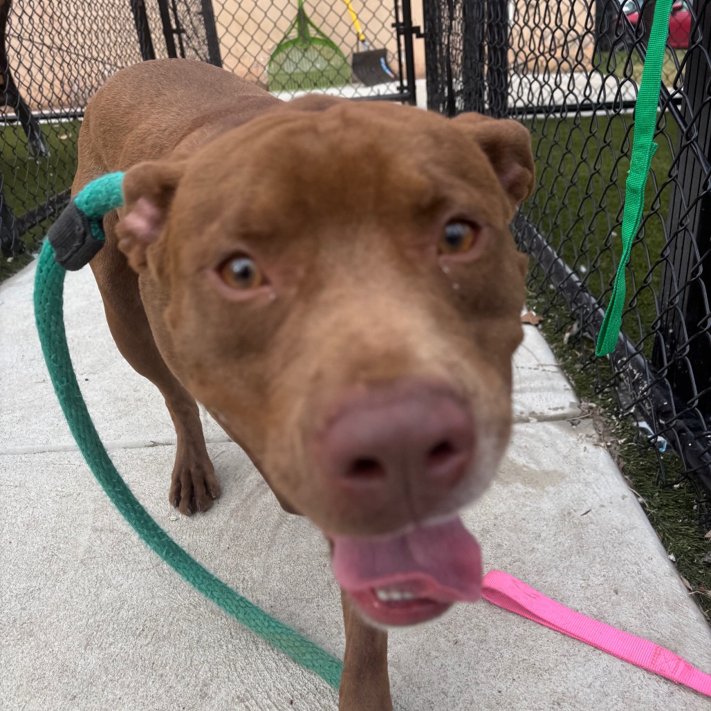 Spike — thumbnail 3