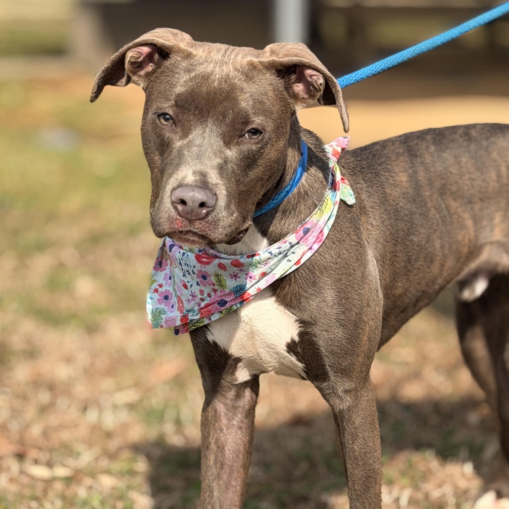 Smithereens — thumbnail 7