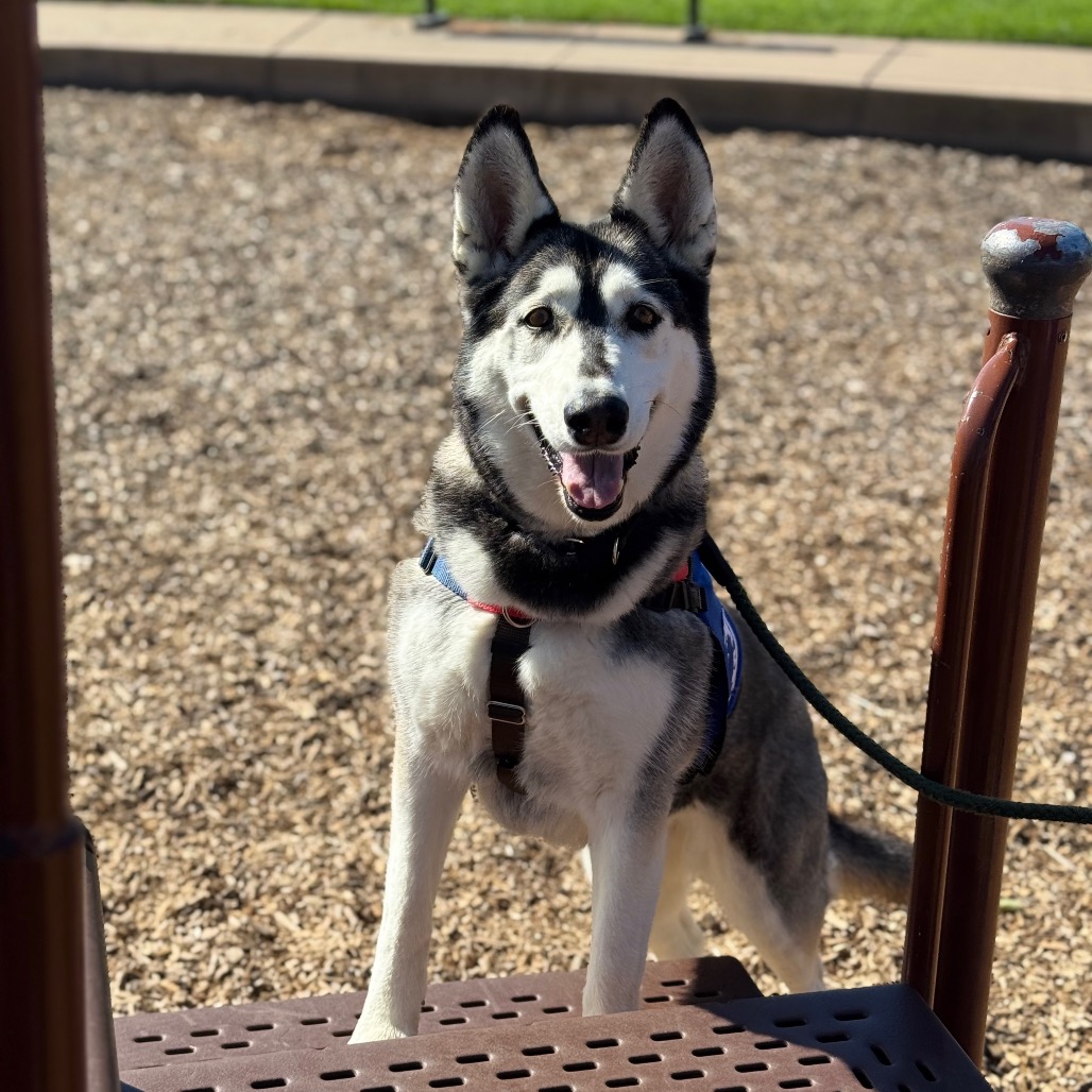 Tundra, photo 10