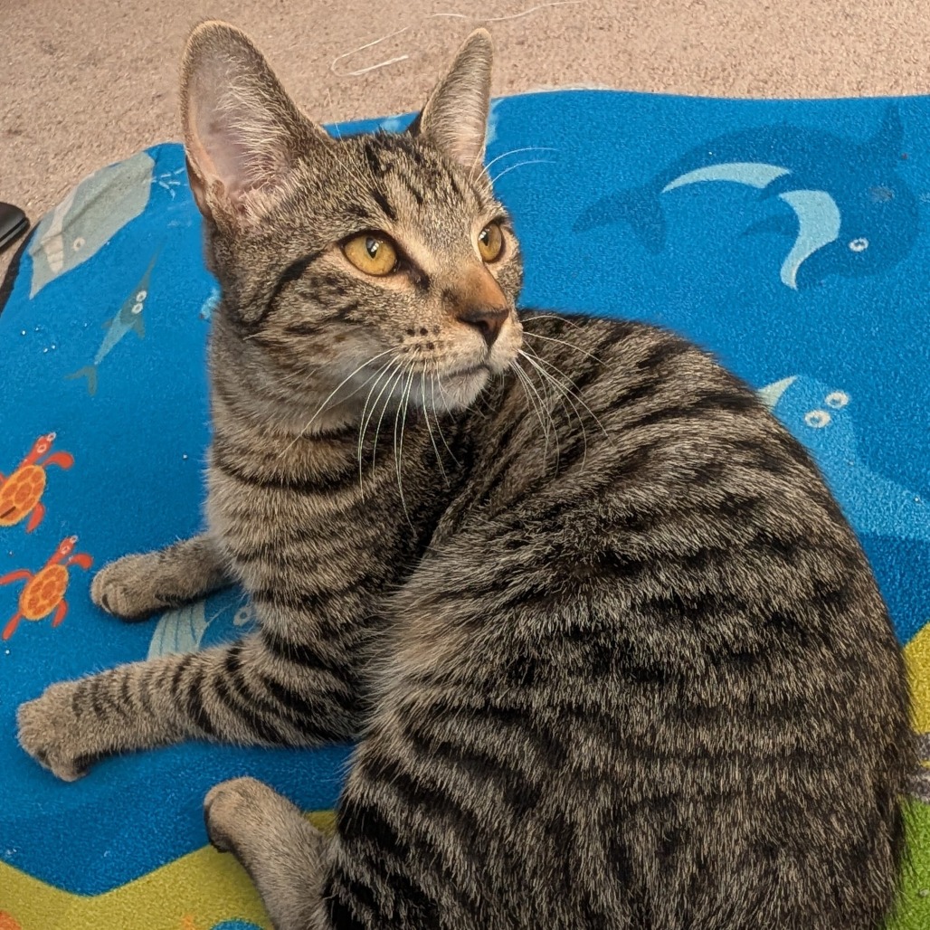 Wally, photo 9