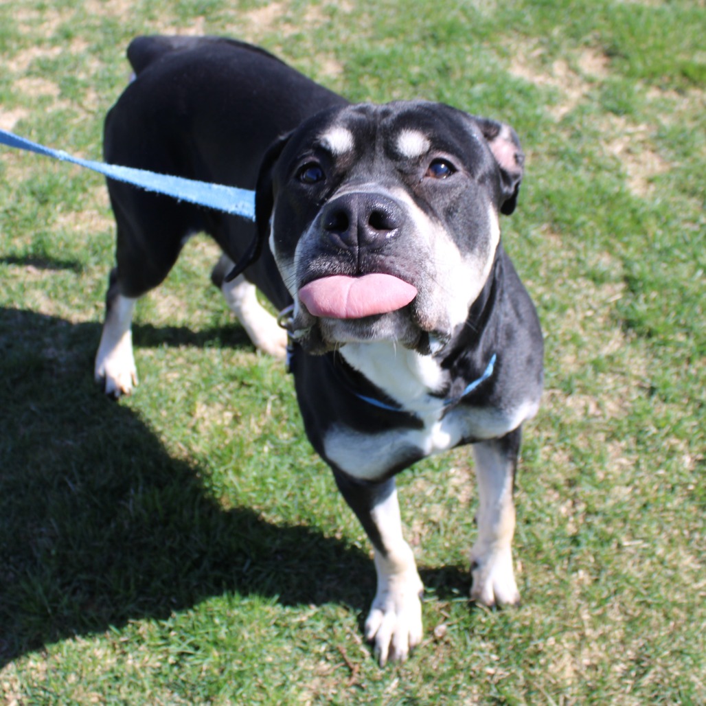 Zeus — thumbnail 2