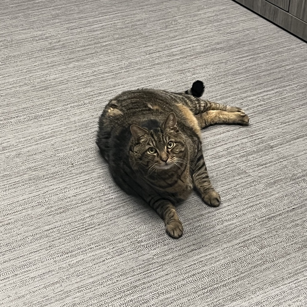 Tiggs