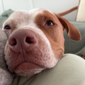 Ginger Crisp, additional photo