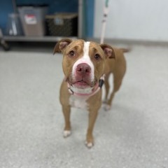 Barbie — thumbnail 2