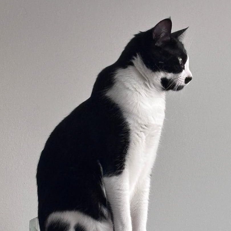 Charlie, photo 17