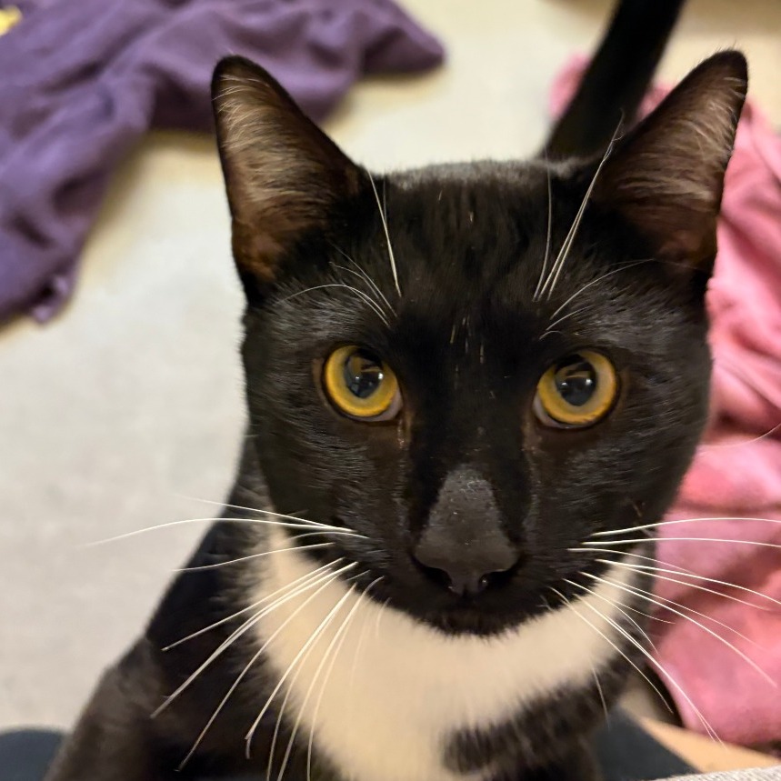 Photo of Ernie 7