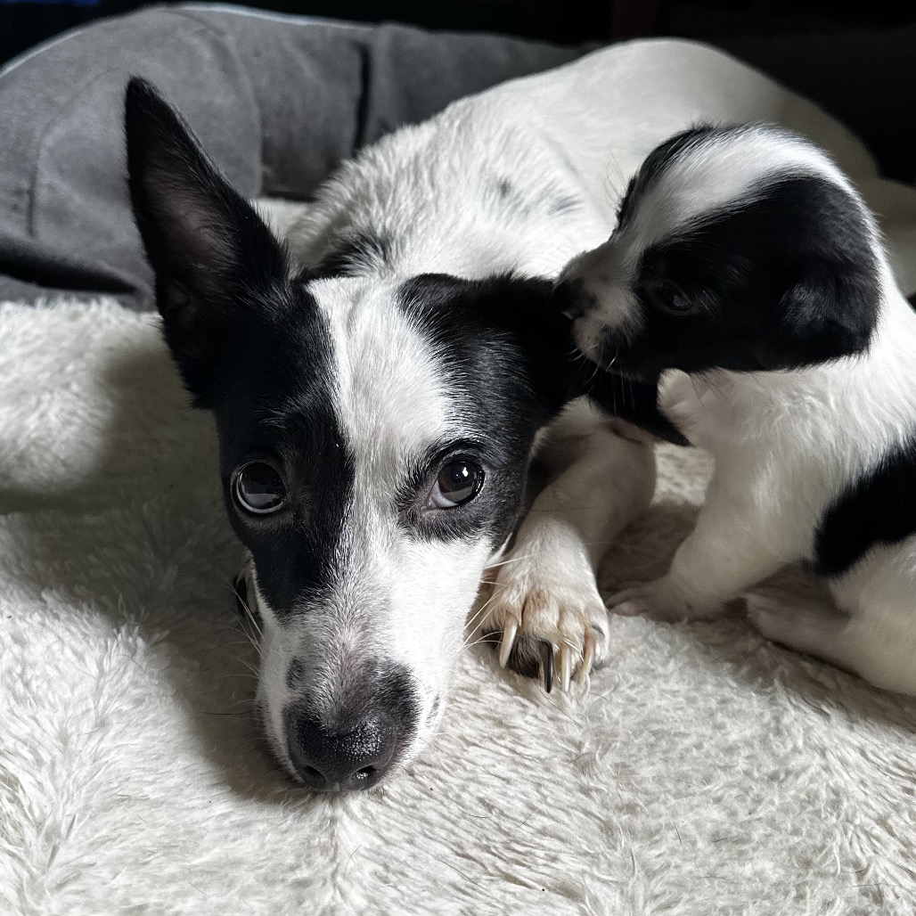 Zoe