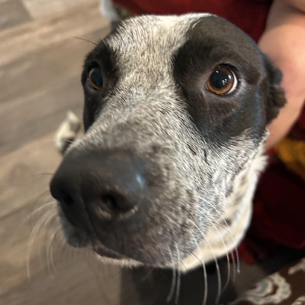 Tracker, photo 10