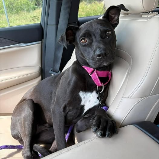 Photo of Hazel