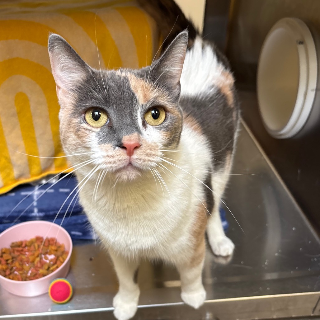 5fb6d14e176ed2d7e14bbe893ce4198e