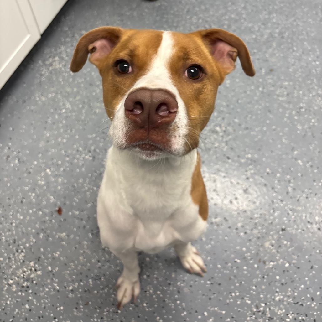 Woody-Foster — thumbnail 2