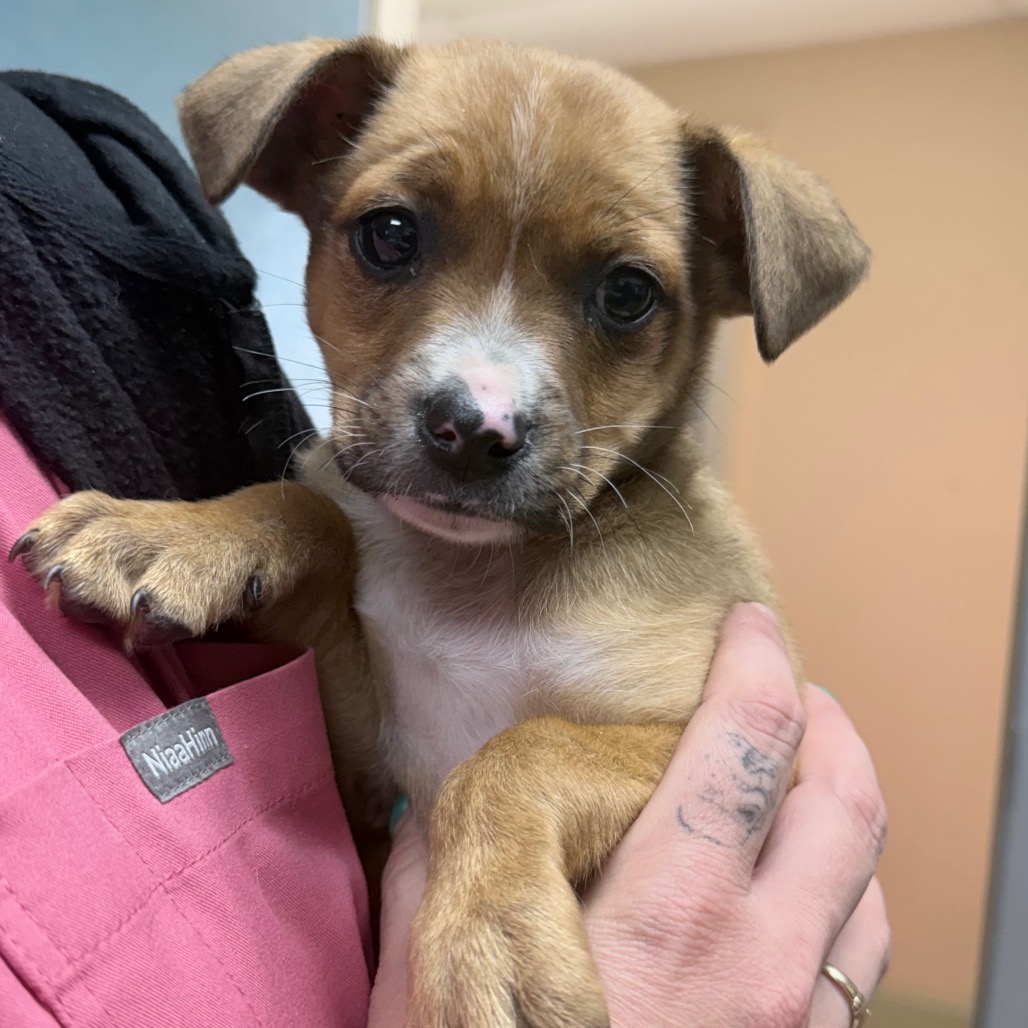 B#13a's preview photo