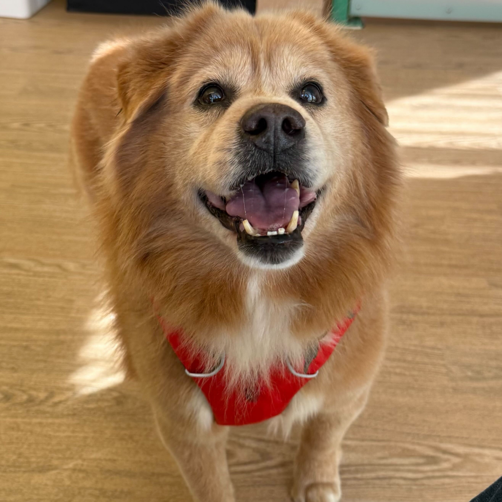 McCallister 13778 — thumbnail 5